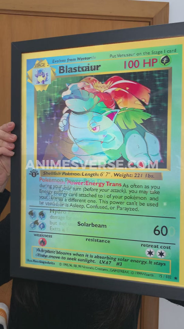 Quadro/Poster3DPokemon